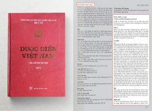 Cây dây thìa canh đã được ghi trong dược điển Việt Nam