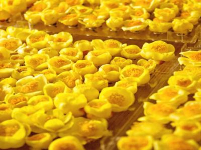 Trà hoa vàng công dụng và tác dụng dùng trà hoa vàng một cách hiệu quả