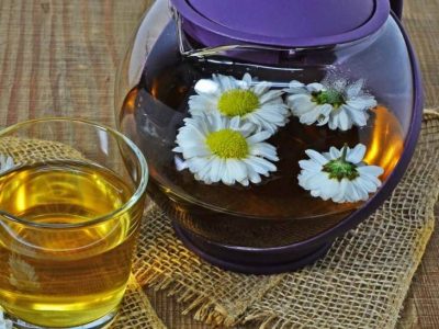 Trà hoa cúc – thức uống giúp mang lại nhiều lợi ích tốt cho sức khỏe con người