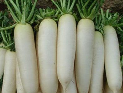 Củ cải trắng: Lợi ích từ làm đẹp đến chữa bệnh hay dễ làm