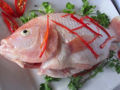 Bệnh gút ăn được cá gì? Top những loại cá nên ăn và cách chế biến hay nhất