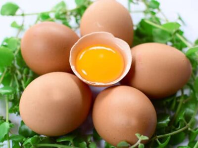 Đắp mặt nạ trứng gà dưỡng làm đẹp da thế nào hiệu quả tuyệt đối?